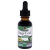 Sage Leaf Extract - 1000mg by Natures Answer for Unisex - 1 oz Dietary Supplement