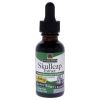 Skullcap Extract AF - 2000mg by Natures Answer for Unisex - 1 oz Dietary Supplement